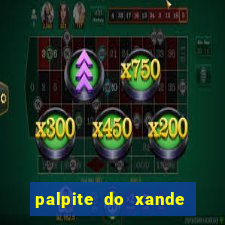 palpite do xande de hoje